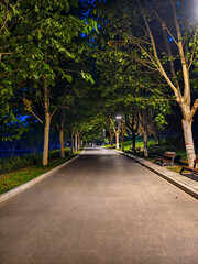 Obraz premium Night scene with illumination at Xiliu Lake Park Zhengzhou