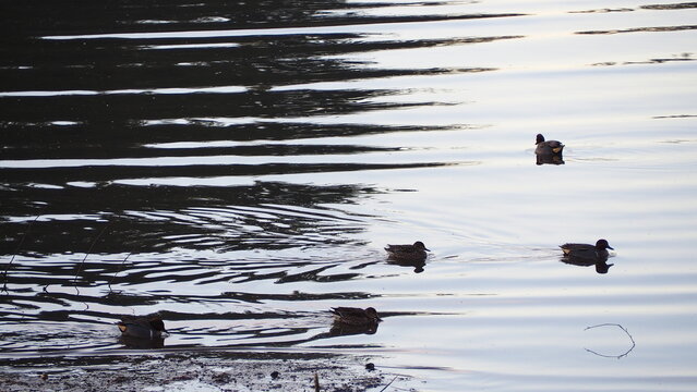 Rockey Point Park, British Columbia, Canada
