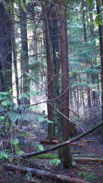 Rockey Point Park, British Columbia, Canada
