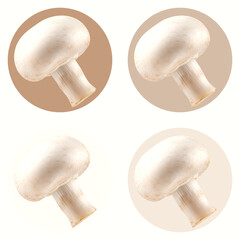 Four fresh button mushrooms in circular frames on white background