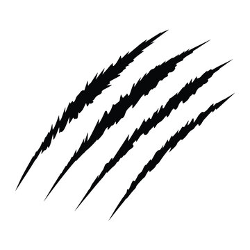 Black claw marks resembling animal scratches on a white background