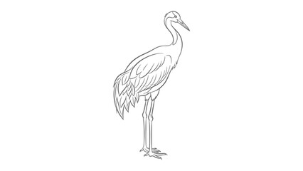 Fototapeta premium Elegant Crane Silhouette: A minimalist monochrome sketch of a tall crane, rendered with delicate lines that capture the bird's graceful posture and refined avian features.