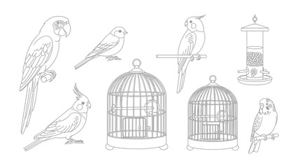 Bird Illustration: Collection of illustrated birds including parrot and birds in their cage. A blend of avian grace and domestic comfort. © Hasib