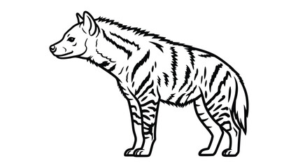 Fototapeta premium Hyena Illustration: An intricate illustration portrays the hyena's form, showcasing its striped coat. A monochromatic art piece, offering a focused study of its physique.