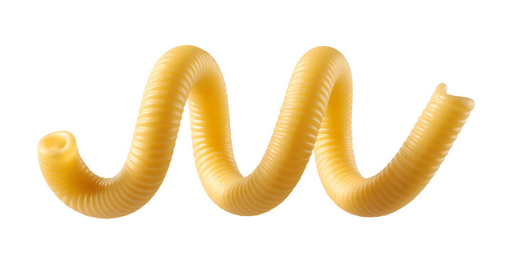 Single Raw Uncooked Trottole Pasta Spiral Noodle Isolated on White Background for Italian Cuisine and Cooking Ingredient Design