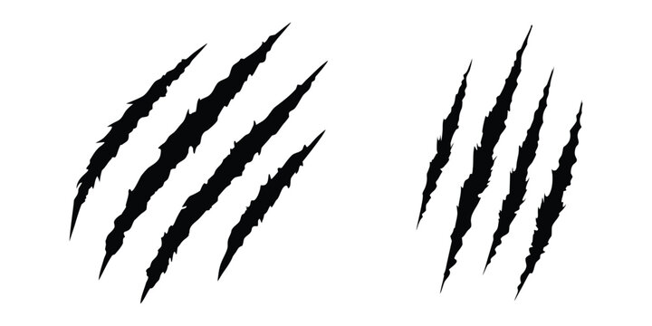 Animal claw scratches mark silhouette vector. Dinosaur claw scratches icon silhouette vector. Tiger, bear, lion scratches sign