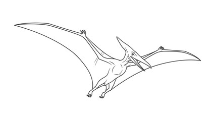 Pterodactyl in Flight: A detailed black and white illustration captures the majestic Pterodactyl in flight, showcasing its unique features and timeless grandeur.  © mahmuda428