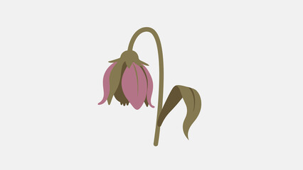 A drooping pink flower, a symbol of sadness, despair, and the complex psychology of life's challenges and emotional states