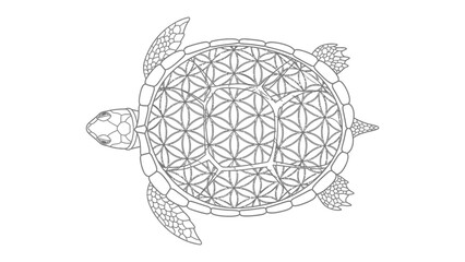 Fototapeta premium Turtle Shell Geometric Design: A meticulously crafted illustration of a turtle shell, featuring a complex geometric design, symbolizes harmony, balance, and the interconnectedness of life.