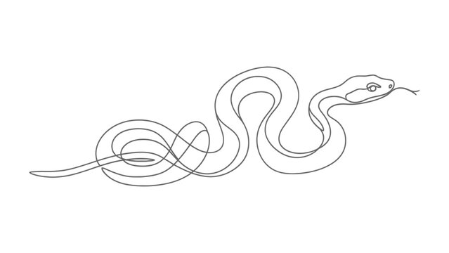 Serpentine Silhouette: An elegant line drawing captures the sinuous form of a snake, showcasing the creature's lithe movements and captivating presence.
