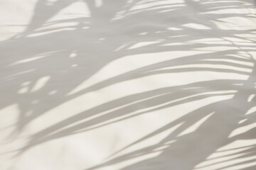 Obraz premium Soft Palm Leaf Shadows Dancing on a Light Beige Wall, Creating a Serene and Tropical Minimalist Background for Product Mockups