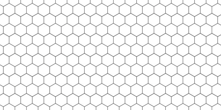 Fishing or soccer net. Repeated hexagon pattern. Black wired mesh texture isolated on white background. Metallic or fabric fence, cage or lattice structure. Vector graphic Illustration.