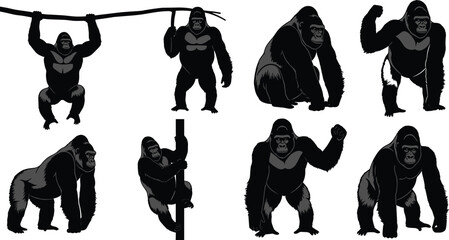 Collection of Eight Detailed Black Silhouettes Featuring Large Gorillas in Various Poses Including Climbing Hanging and Standing for Wildlife and Nature Graphic Designs © MstKhodeza