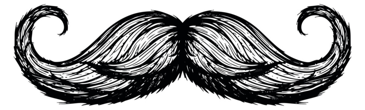 Hand drawn line art illustration of a mustache depicting a vintage curled style for men's fashion and grooming
