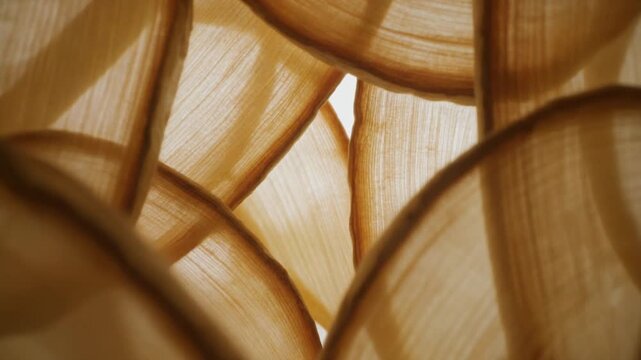 A detailed view of overlapping wooden or bamboo half-circles with light brown hues