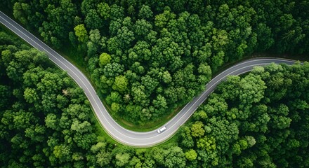 Aerial view of a winding road cutting through a dense forest