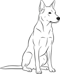 German Shepherd dog sitting alert silhouette vector illustration