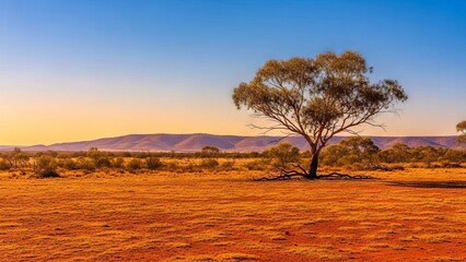 Fototapeta premium Australian Outback Landscape at Sunset with a Lone Tree
