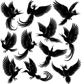 Black Silhouette of Bird of Paradise &ndash; 12 Wing Flapping Poses Vector