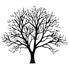 Obraz premium A stark, silhouette illustration of a deciduous tree, its branches bare and intricately spread against a pure white background. The tree has a strong, central trunk that bifurcates into numerous, angu