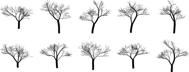Black Bare Tree Silhouette Set Vector Illustration for Landscape Design, Nature Backgrounds, Posters, Logos and Environmental Projects Isolated on White Background.