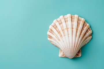 Obraz premium Single seashell on a vibrant teal background evokes tranquility, minimalism, and coastal vibes