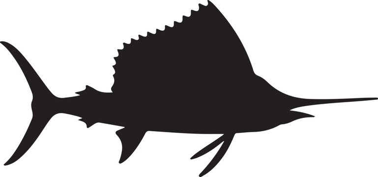 Sailfish Silhouette on White Background