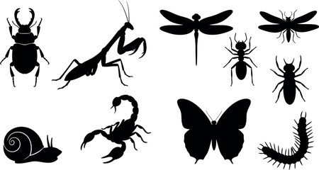 Collection of various insect and arachnid silhouettes © MSTNAZIA