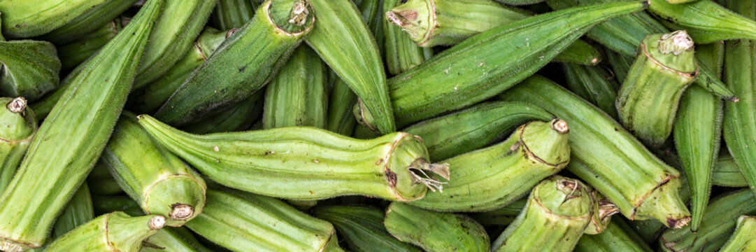 Panorama of fresh Okra (Abelmoschus esculentus) on a market stall