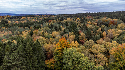 Paysage malm&eacute;dien