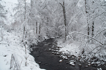 d&eacute;cor enneig&eacute;