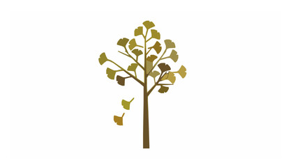Obraz premium Minimal Autumn Ginkgo Tree Botanical Vector Design