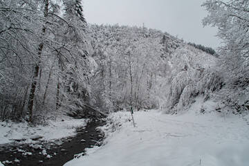 d&eacute;cor enneig&eacute;