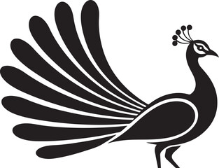 Fototapeta premium Black silhouette of a peacock with fanned tail feathers on white background bird animal