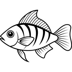 Electric Blue Acara line art vector