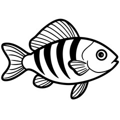 Electric Blue Acara line art vector