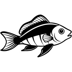 Electric Blue Acara line art vector