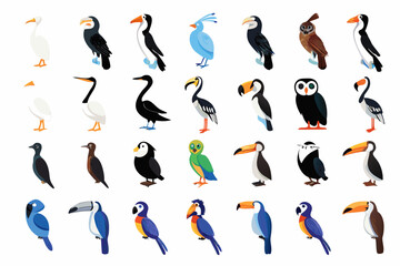 Colorful collection of toucans and puffins in various poses and designs © prince