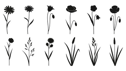 Naklejka premium Collection of Various Black Silhouette Flowers.