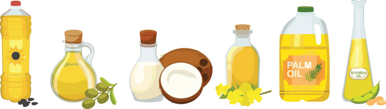 Organic vegetable cooking oils set featuring sunflower olive coconut palm and soybean oil in glass bottles and plastic containers