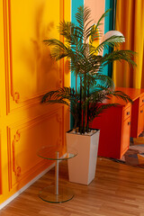 modern living room with palm trees