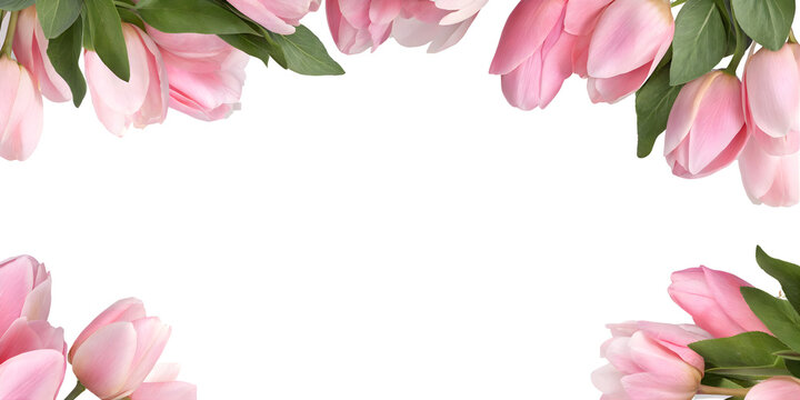 Elegant floral border made of soft pink tulip flowers and green leaves arranged along the top edge, creating a romantic frame with generous copy space on a transparent background.