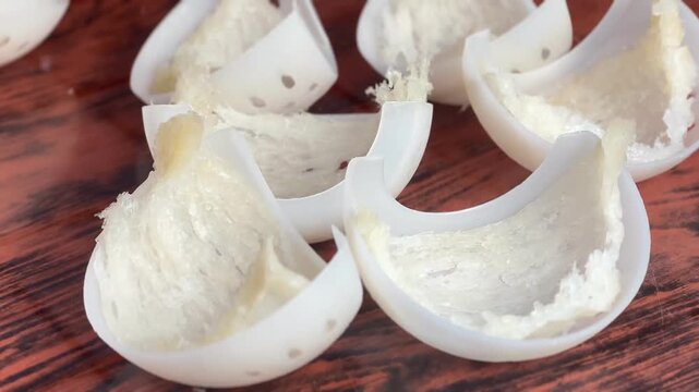 Close-up video of fully cleaned edible bird&rsquo;s nests neatly shaped in white molds, ready for drying and processing. Premium swiftlet nest preparation for luxury food products, health supplements, and