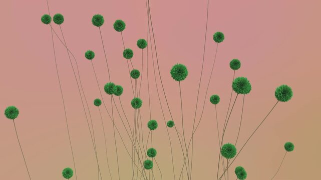 Green Round Flowers
Green flowers sprout upward, leaving behind stems.