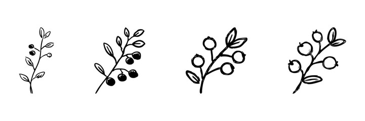 Fototapeta premium Berry Branches Line Icon Set In Doodle Style. Nature, Botanical Elements, And Organic Growth Outline Sketch Collection. Hand Drawn Isolated Vector Illustration