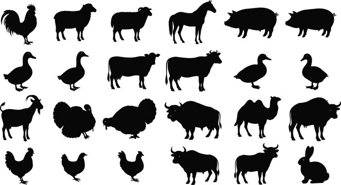 Farm animal silhouette collection grid illustration, rooster sheep horse pig duck goose cow goat turkey camel buffalo rabbit, livestock icon design, flat vector illustration
