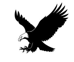 A black silhouette of an eagle in flight on a white background