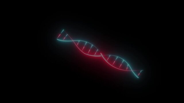 Glowing D N A Double Helix Structure Animated in Red and Blue Neon Colors on Black Background DNA double helix