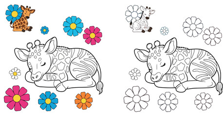 Cute baby giraffe sleeping coloring book page. Vector cartoon illustration of adorable animal lying down with flowers. Black and white outline with color reference for kids activity. © MstSangita