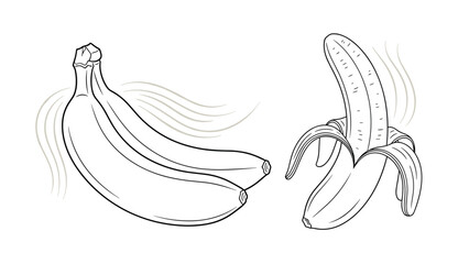 Hand drawn illustrations featuring a bunch of whole bananas and one partially peeled banana in a simple black and white line art style.